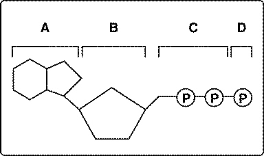 q1_benchmark_review_files/i0280000.jpg
